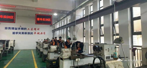 大邑发布公共服务成绩单 基础教育与教育咨询服务成果显著