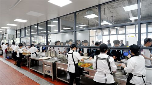 竹山县教育局 以高质量服务为引擎，全面助推区域教育高质量发展——聚焦教育咨询服务的创新实践